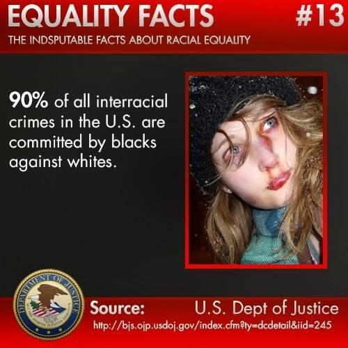 fact-90-of-all-interracial-crime-in-usa-is-black-on-white